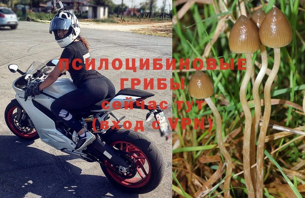 2c-b Алексин