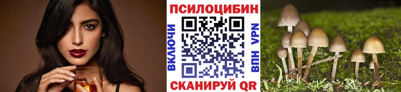 Псилоцибиновые грибы Psilocybine cubensis  продажа наркотиков  Ахтырский 
